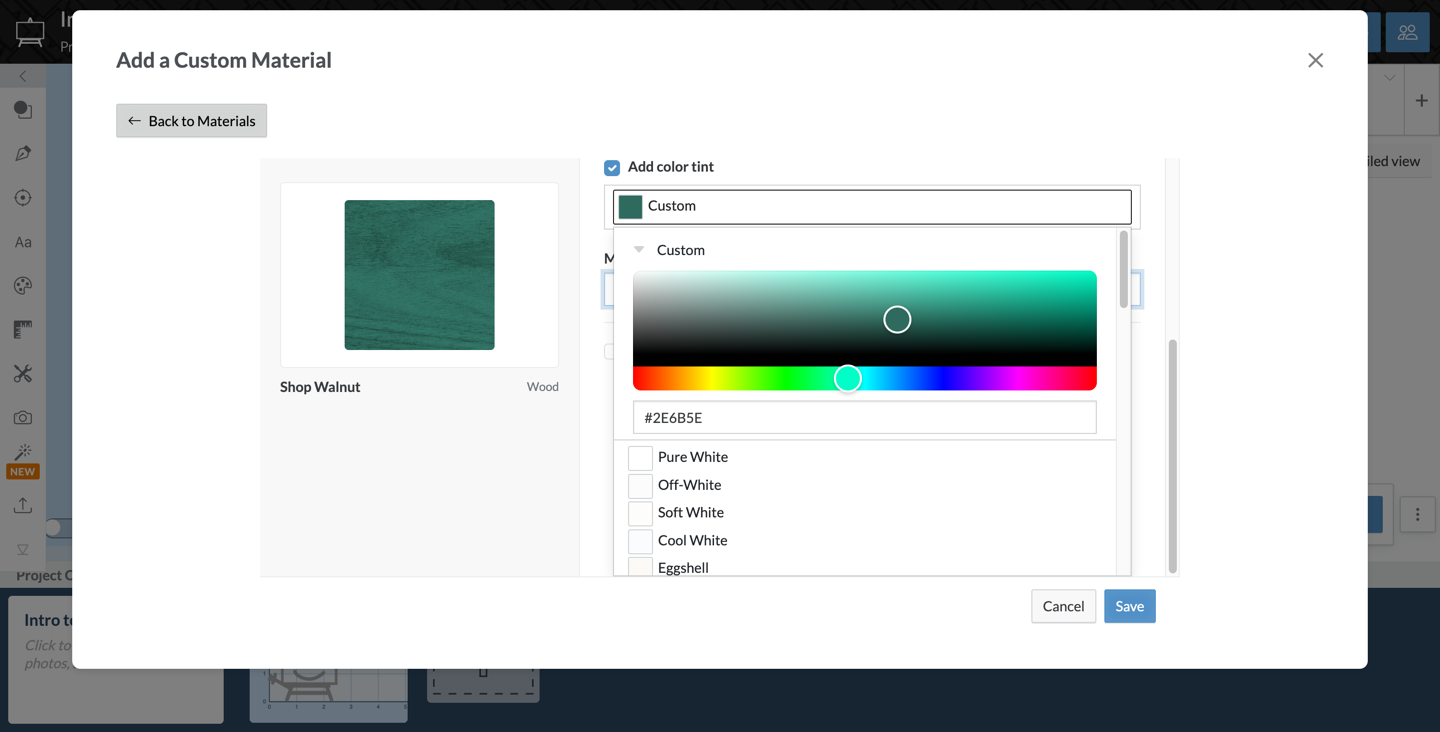 The tint control, with a hex field and the named palette